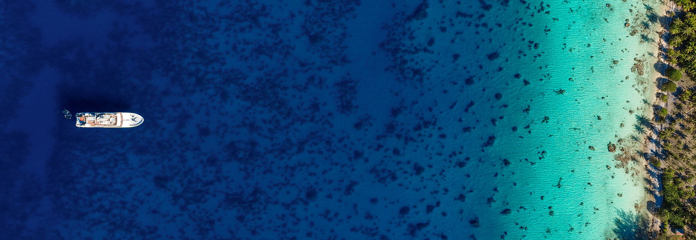 Tahiti Dive Management