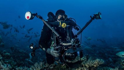 Tahiti Dive Management Vidéos