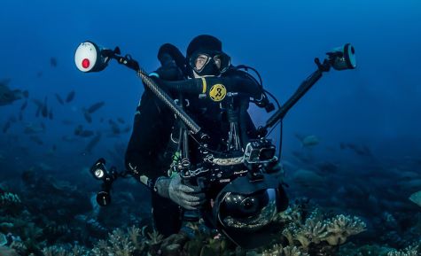 Tahiti Dive Management Videos